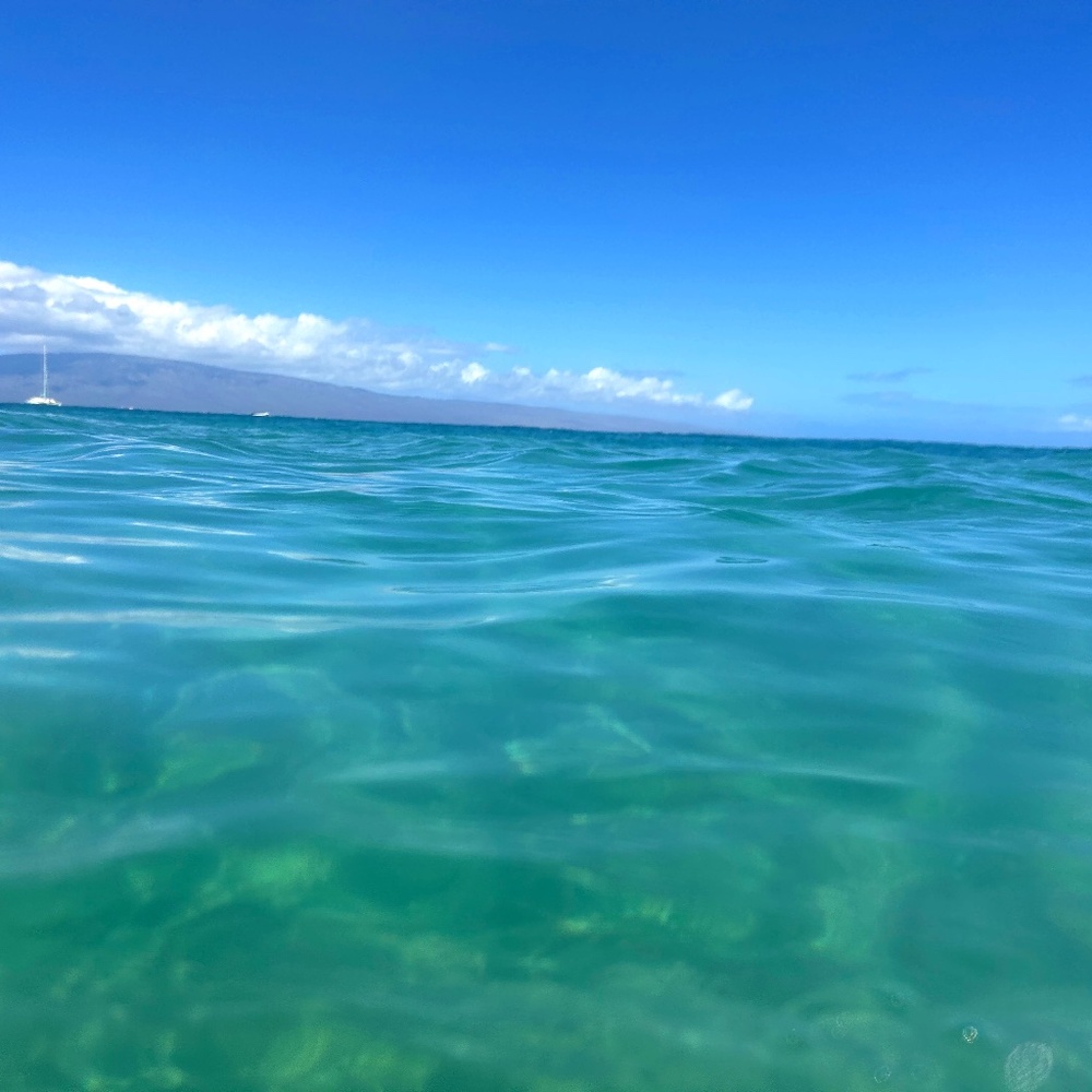 Meet your Posher, Sunny